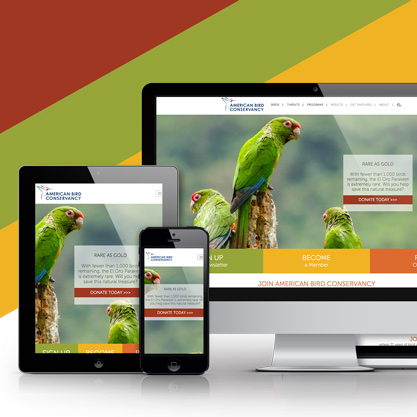 Web Design, Development & Digital Marketing Agency in D.C.